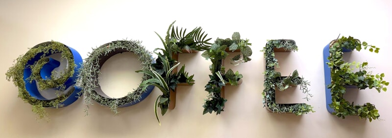 Biophilic Design: The Future of Interior Decor in 2025